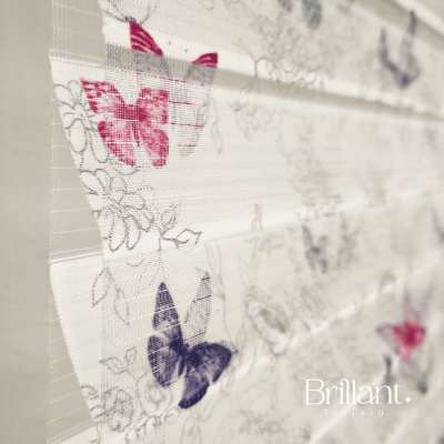 Store Zebra Butterly
