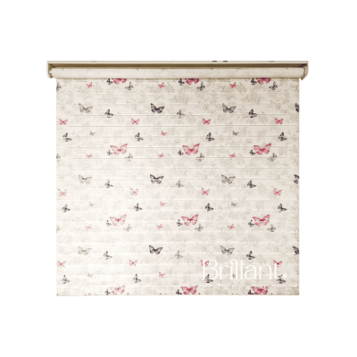 Store Zebra Butterly